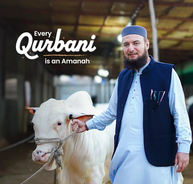 Website banner Qurbani 2025 mobile