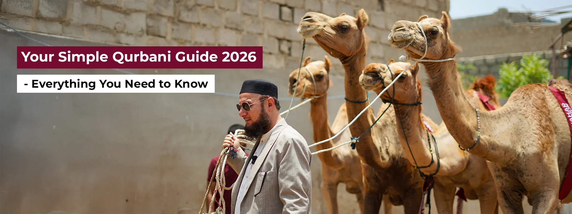 Your Simple Qurbani Guide 2026 - Everything You Need to Know