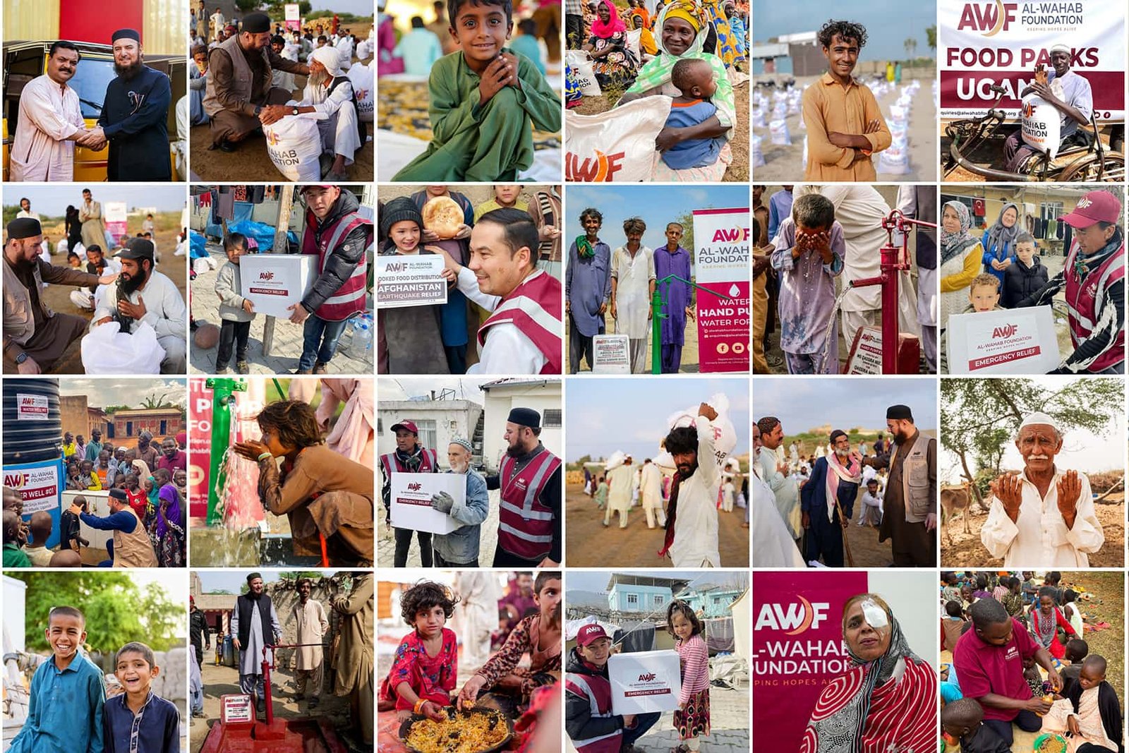 The Power of Impact: AWF’s Inspiring Achievements in 2024